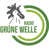Radio Gruene Welle 103 FM