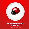 Bubamara Radio