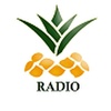 Radio Ananaz