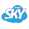 RTK Radio Blue Sky