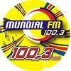 Radio Mundial FM 100.3