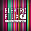 FluxFM Elektro