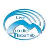Radio Habayiib
