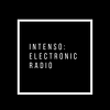 Intenso Electronic Radio