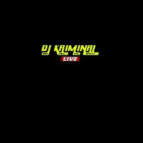 DJ Kriminal Live
