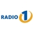Radio 1 Dolenjska