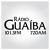 Radio Guaiba 101.3 FM